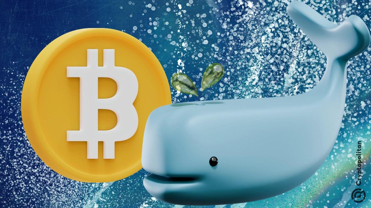 加密货币:26,430 BTC流入OTC交易鲸鱼积累地址